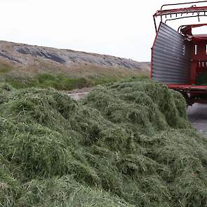 Het melkveebedrijf staat net binnen de bebouwde kom van Vinkel.