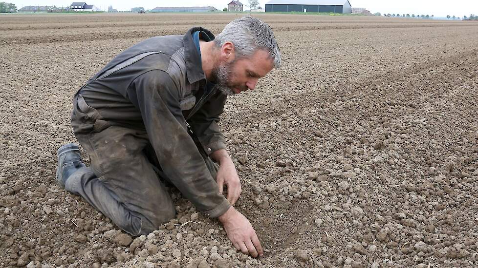 Hoewel er nog een keer gefreesd moet worden, ziet het er wel goed uit. De kluiten zijn nog vochtig, waardoor ze makkelijk breken.