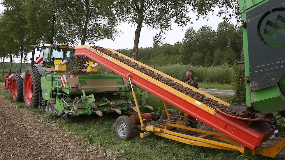 De aardappelen die de grond in gaan zijn van het ras Fontane.