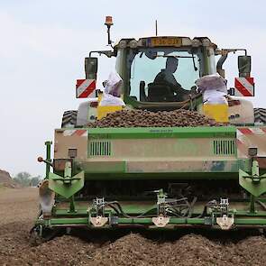 Volgens van As verloopt het poten goed. „Dit is zware grond en onderin is het nog nat genoeg.”