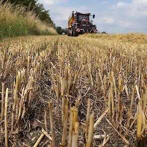 Het bedrijf telt in totaal 100 hectare grond. Voor de wintergerst is daar 11 hectare in gebruik. De opbrengst  per hectare is dit jaar 8 ton, het hectolitergewicht van de gerst is 64 kilo.