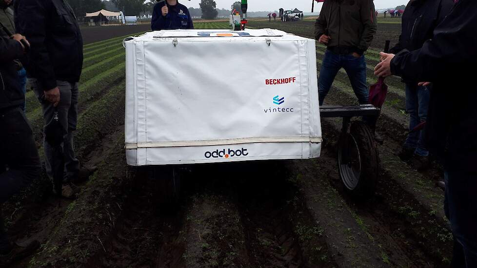 Wiedrobot Quirky van Odd.bot kan tot nu toe vooral in de ruggenteelt van peen in een vroeg stadium heel precies onkruid wieden in de rij.