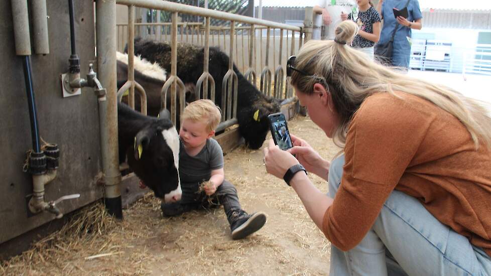 En een foto van zoonlief bij de kalveren doet het steeds goed.