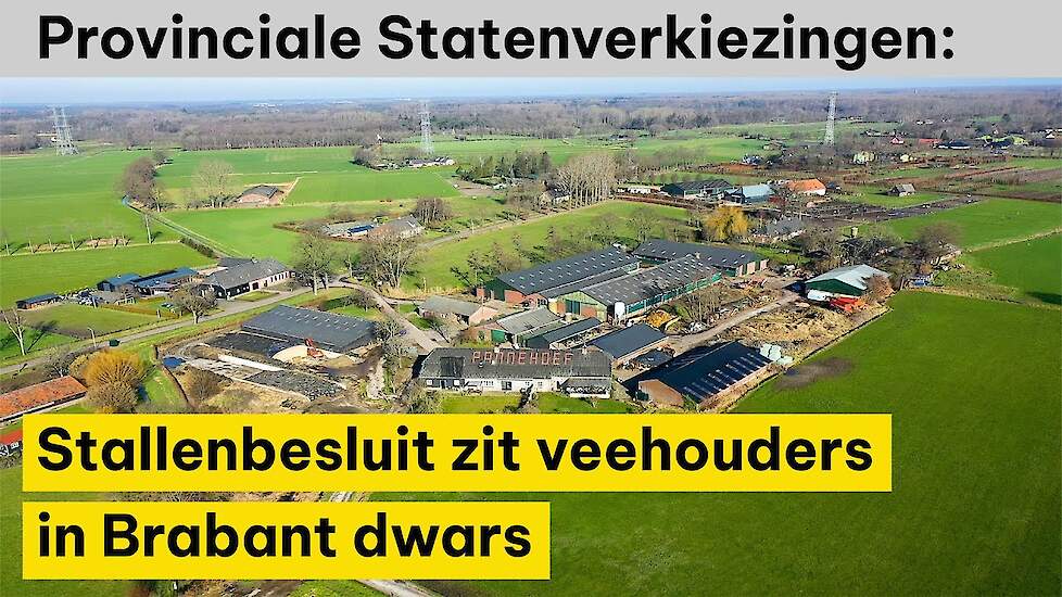 Stallenbesluit zit veehouders in Brabant dwars - Provinciale Statenverkiezingen