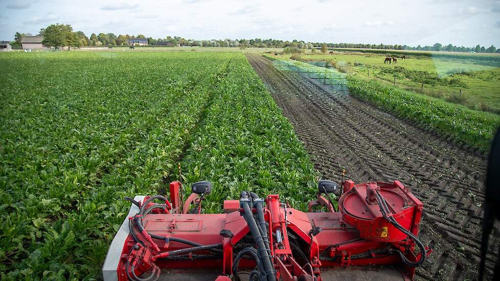 Hermans rooit de bieten in een cirkel van ongeveer 50 km rond Maasbree.