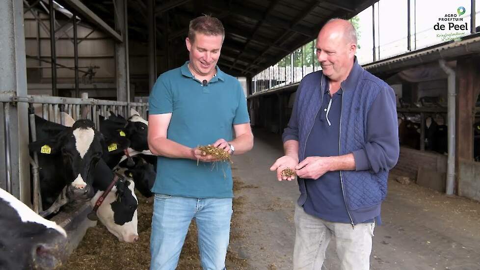 Samenwerking melkveehouder Wientjes en aardappelteler Van der Heijden