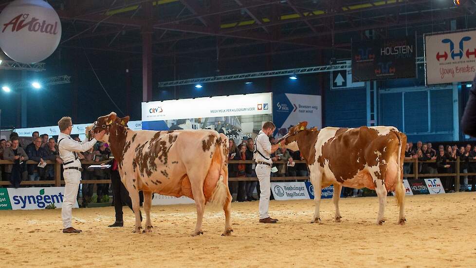 De productieklasse bestond uit slechts twee koeien bij de roodbonten, maar die mochten er zijn. De 9-jarige Tienmorgen Liz Stina 49, een grote, lange Jotan-dochter van de familie Gosens uit Beers, gaf al meer dan 90.000 kg melk. De bijna 13-jarige Irma 68