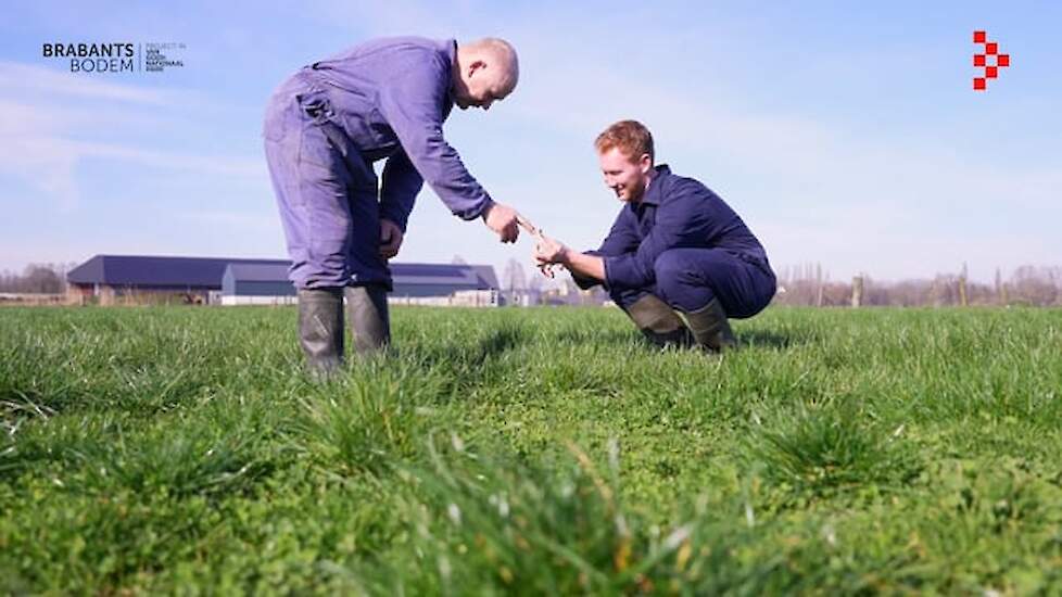 Brabantse Biodiversiteitsmonitor Melkveehouderij: wat is dat?