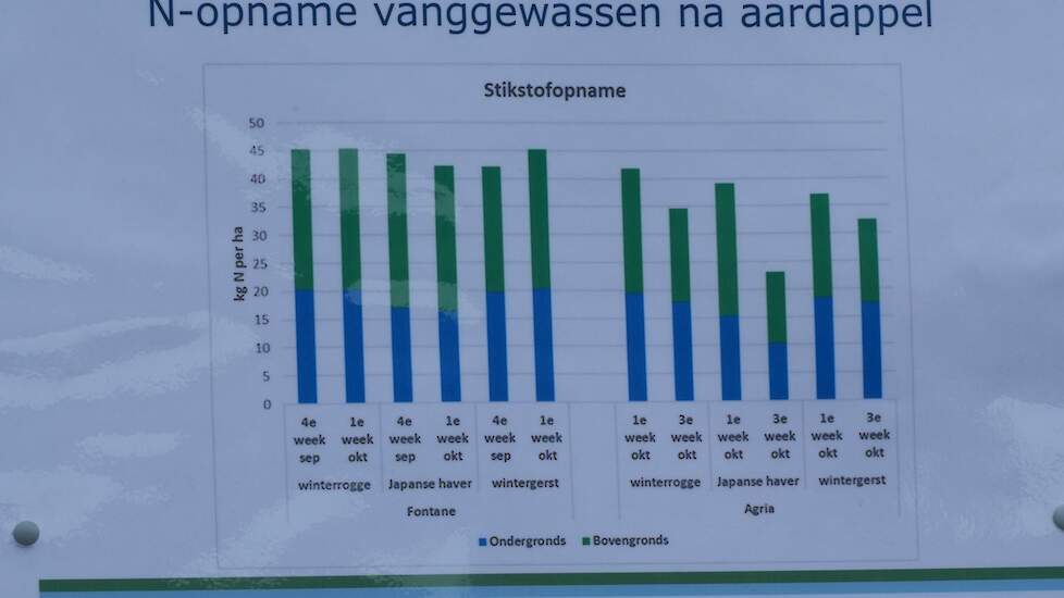 Vroege en late aardappelrassen