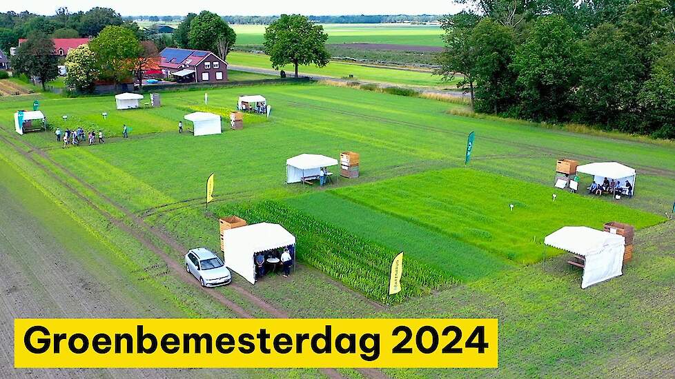 Dit was de Groenbemesterdag 2024! - Stikstof en structuur