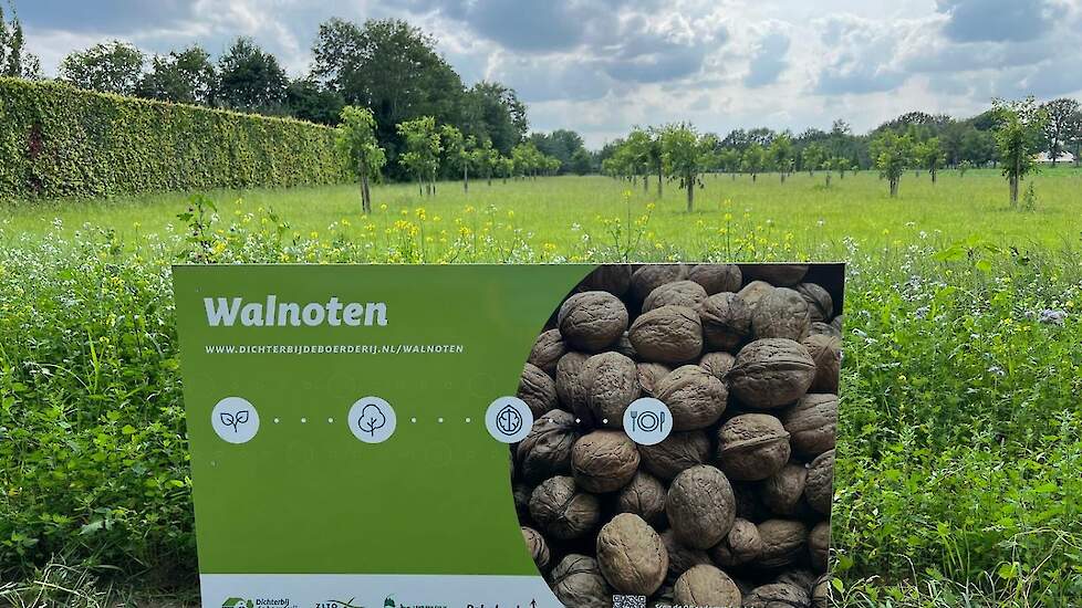 Naast het bedrijf staan 100 walnotenbomen. Via gewasborden laten de boerenorganisaties weten welk gewas er groeit. De QR code verwijst naar www.dichterbijdeboerderij.nl voor meer informatie over dat gewas. Langs de route stonden een tiental gewasborden bi