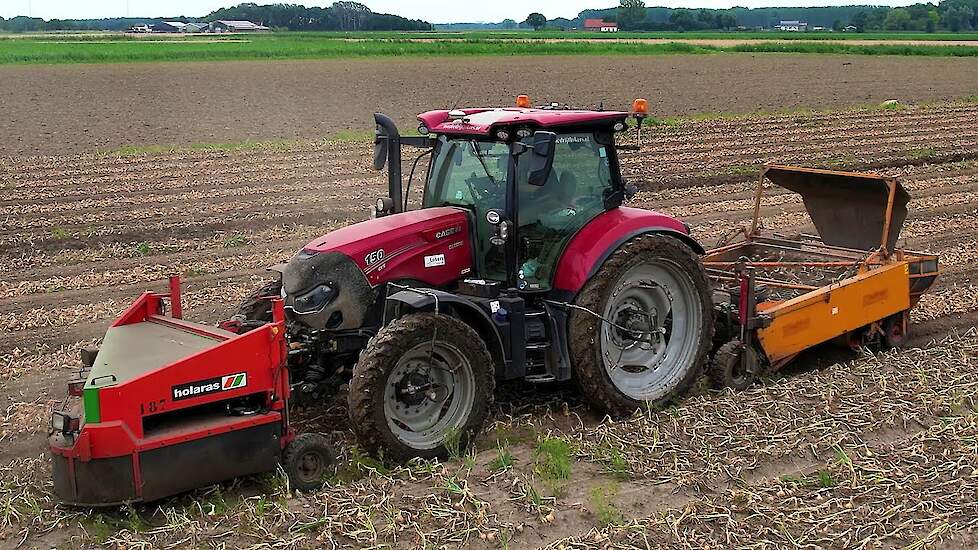 Uien rooien | Harvesting Onions | Case IH | Holaras | Keulmac | Zwiebeln ernten | Uienoogst 2024