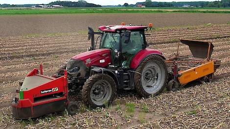 Uien rooien | Harvesting Onions | Case IH | Holaras | Keulmac | Zwiebeln ernten | Uienoogst 2024