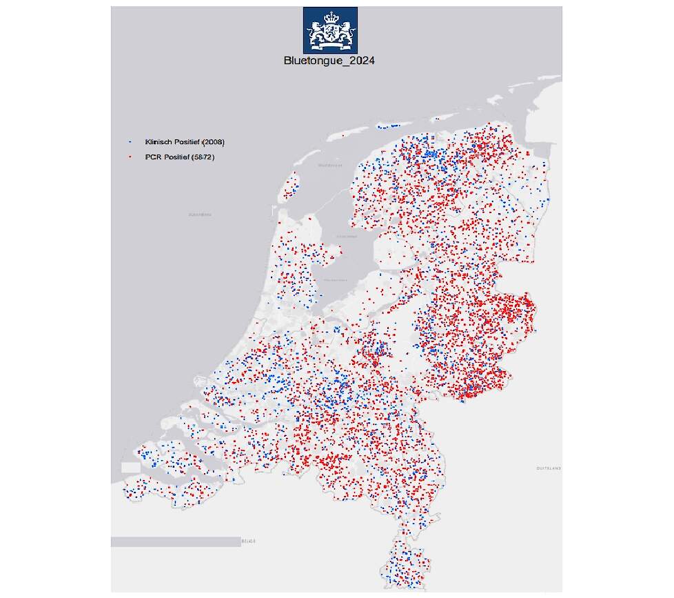 Het aantal nieuwe blauwtonggevallen lijkt af te zwakken.