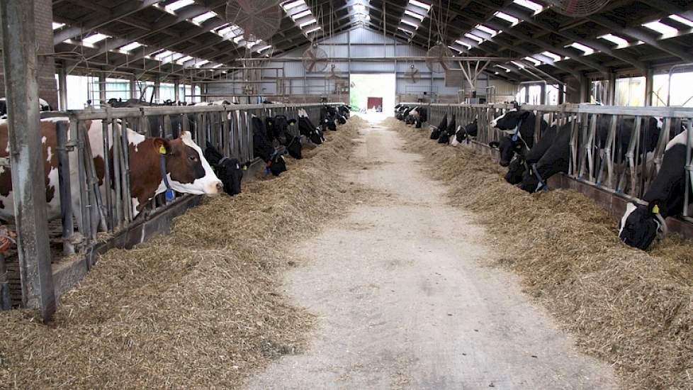 De oude stal werd in 1995 gebouwd, toen familie Knoops van N-Brabant naar Zeeland verhuisde.