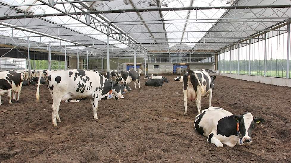 Het dak is op dit  moment dicht vanwege regen maar kan, met uitzondering van de twee buitenste bogen, geheel open. Om en om is schaduwdoek aangebracht om de brandende zon te weren.