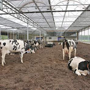 Het dak is op dit  moment dicht vanwege regen maar kan, met uitzondering van de twee buitenste bogen, geheel open. Om en om is schaduwdoek aangebracht om de brandende zon te weren.