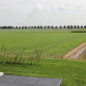 Op de terp staand, valt niet eens op dat het zich op 6 meter hoogte bevindt. Pas aan de randen, zoals hier bij het huis, kijkt men in de diepte. In de verte  de resten van de oorspronkelijke boerderij bij deze terp. Familie Fleerakkers kocht de terp over.