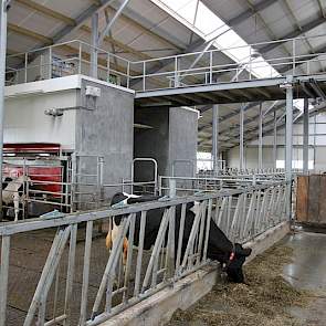 Via een breed looppad kunnen de koeien van het strohok naar de melkrobot en terug gedreven worden. In de toekomst wordt dit pad ook gebruikt om de koeien naar buiten te doen. Boven het looppad bevindt zich een loopbrug; de dagelijkse schone route voor Fle