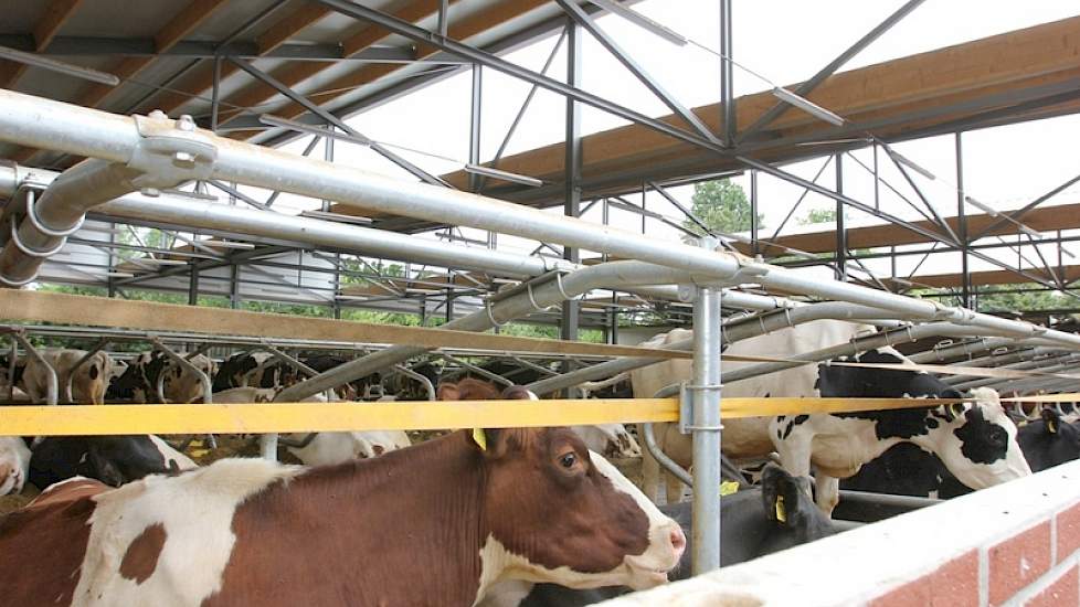 Het zaagtanddak met 5 openingen van 3 meter hoog, zorgt ervoor dat het gebouw niet hoger dan 8 meter is. Het doel hiervan is om de nieuwe stal niet op te laten vallen tussen de andere gebouwen. Dit was geen welstandseis, maar wilde de familie graag zelf,