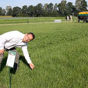 Agrifirm coördinator Toine Heijmans: 'Meer voer van eigen land.'