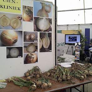 De Uiendokter had werk genoeg en waarschuwde voor teveel koper bespuiting in de strijd tegen bacterierot.