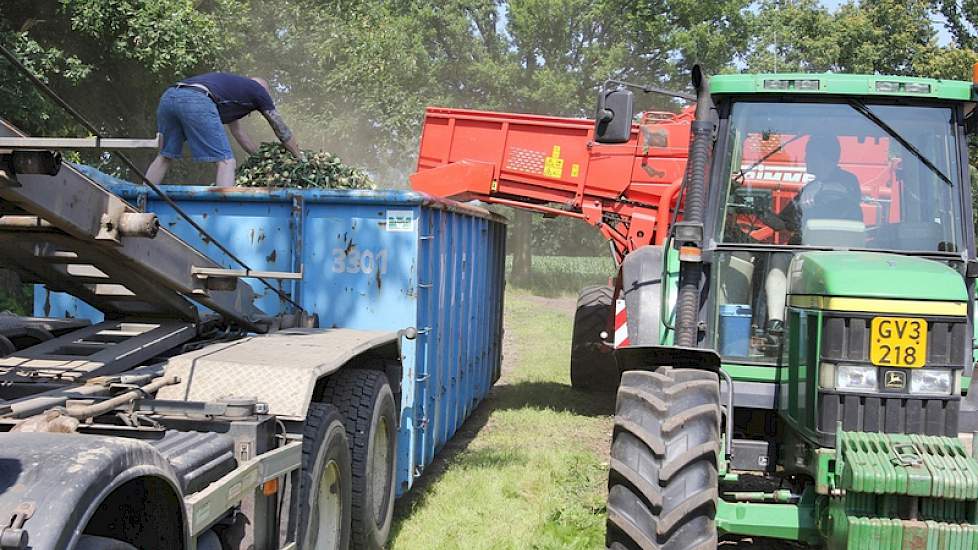 Verheijen laat 5 hectare oogsten voor de export vanwege de goede prijs van 18 cent per kilogram. De uien die nu nog in de schuur liggen van vorig jaar zijn te ver versleten.